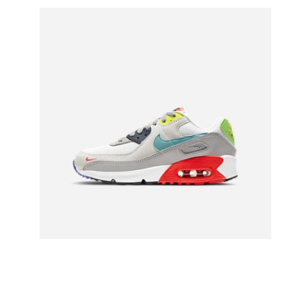 Nike Air Max 90 EOI